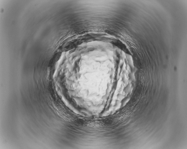 X0000087020550200705071512