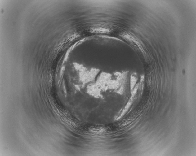 X0000087020551200705071512