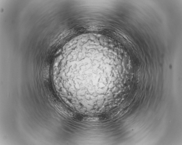 X0000087020554200705071512