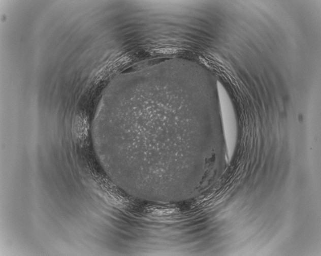 X0000087020555200705071512