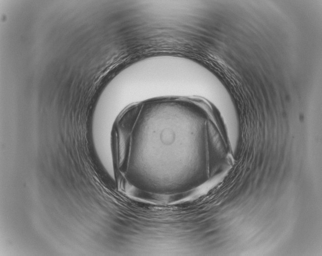 X0000087020556200705071512