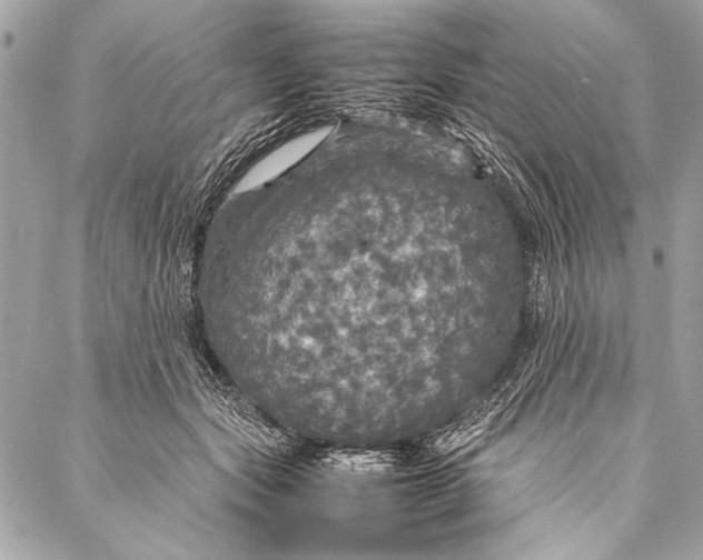 X0000087020557200705071512