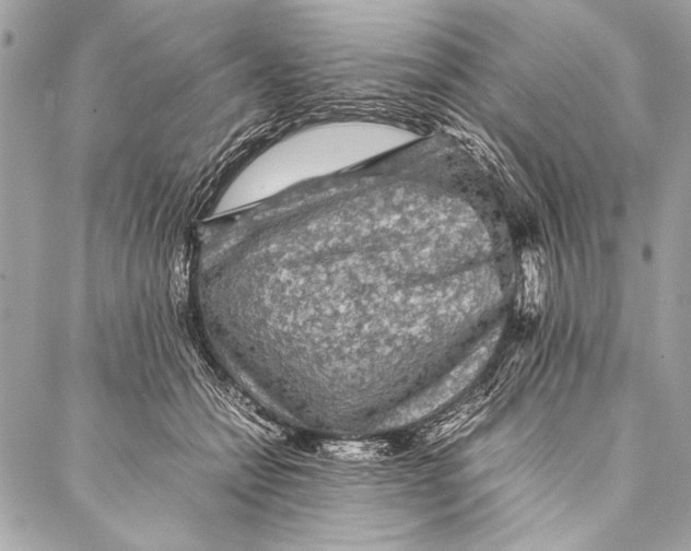 X0000087020558200705071512