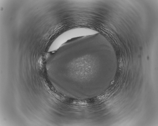 X0000087020559200705071512