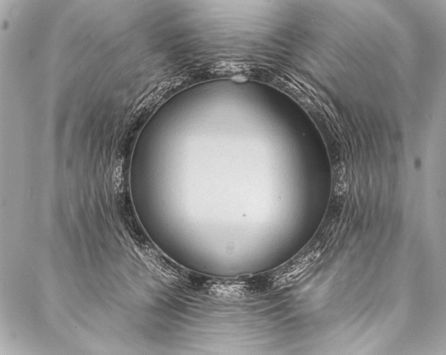 X0000087020560200705071512