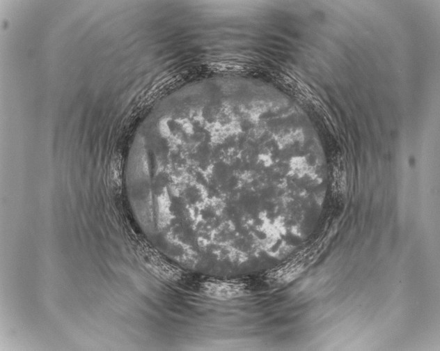 X0000087020561200705071512