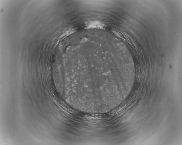 X0000087020563200705071512