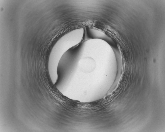 X0000087020564200705071512