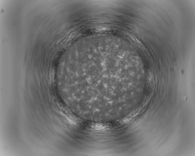 X0000087020565200705071512