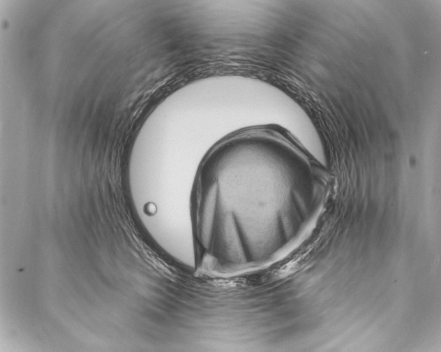 X0000087020566200705071512