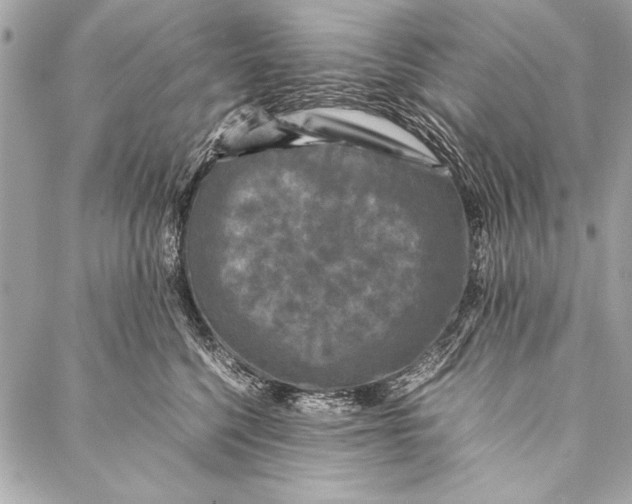 X0000087020568200705071512