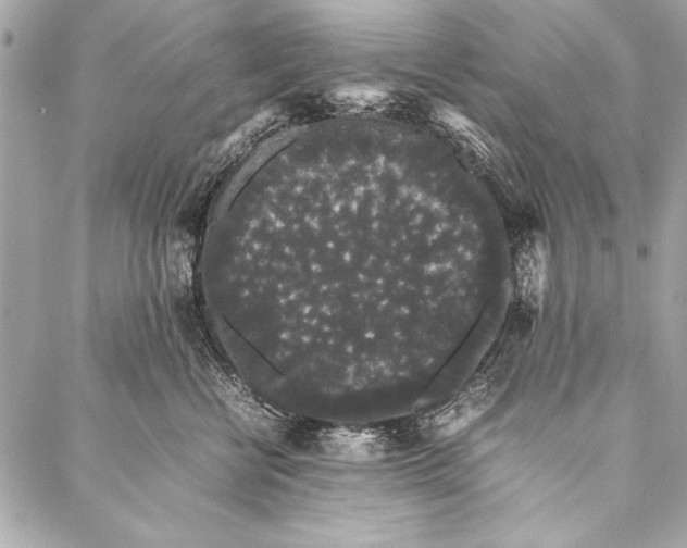 X0000087020570200705071512