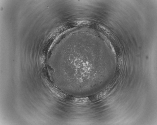 X0000087020571200705071512