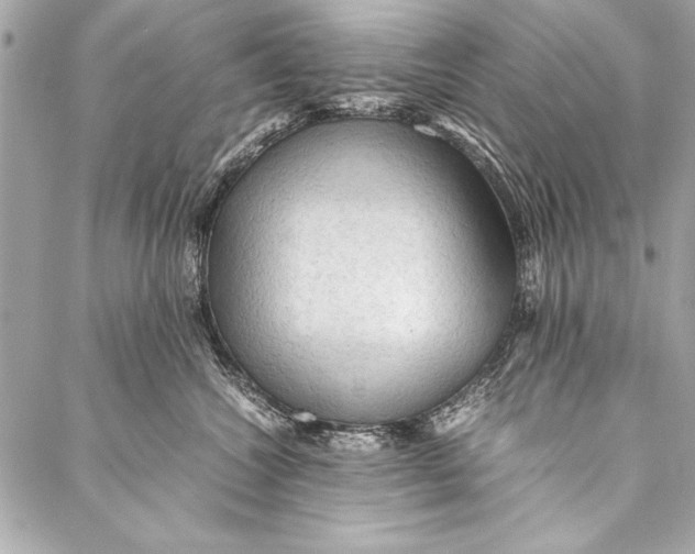 X0000087020572200705071512