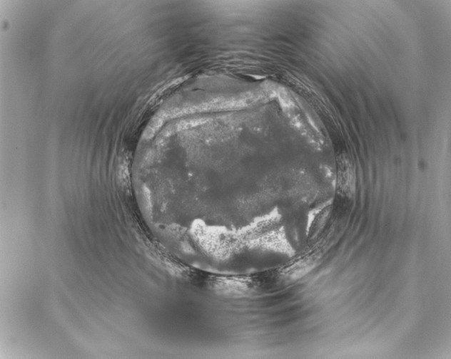 X0000087020573200705071512