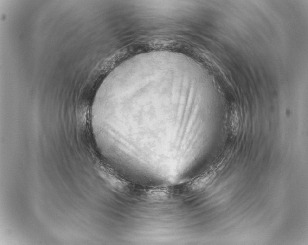 X0000087020574200705071512