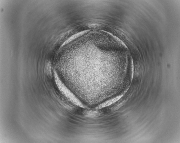 X0000087020575200705071512