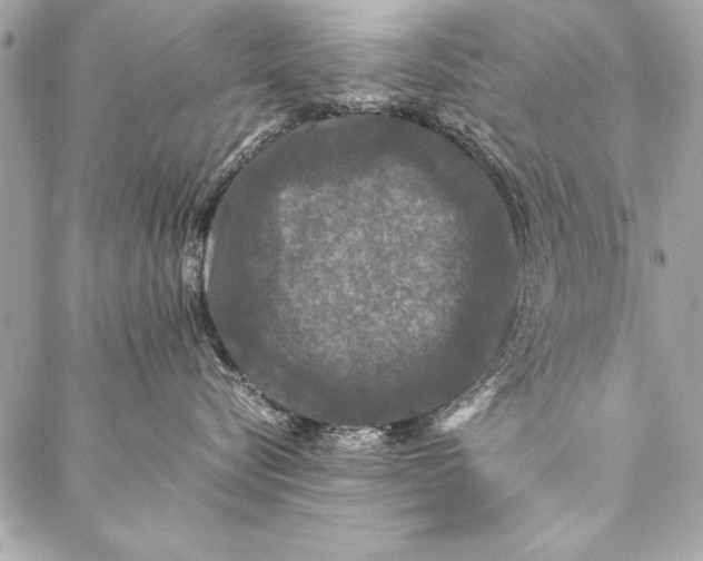 X0000087020576200705071513