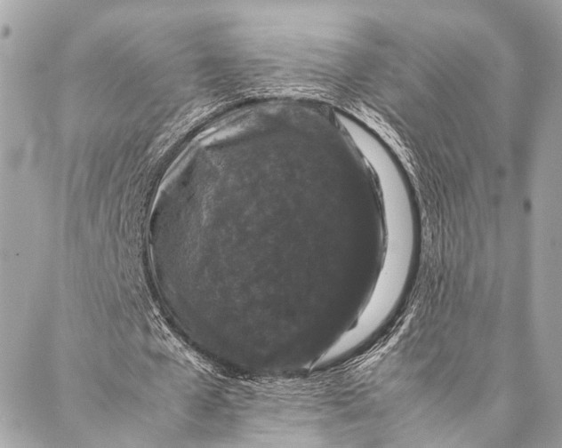 X0000087020577200705071512