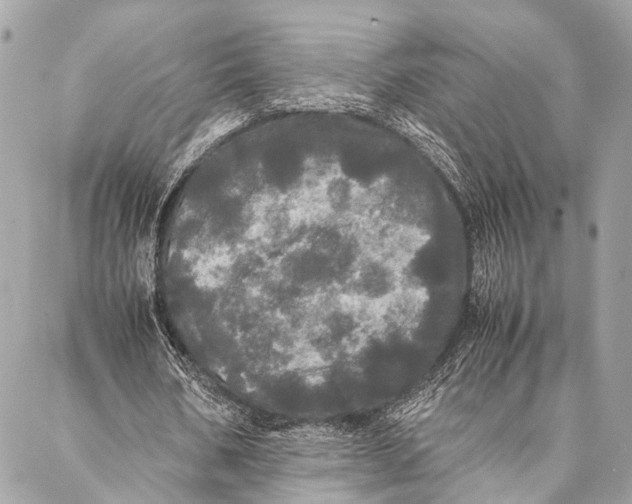 X0000087020578200705071512