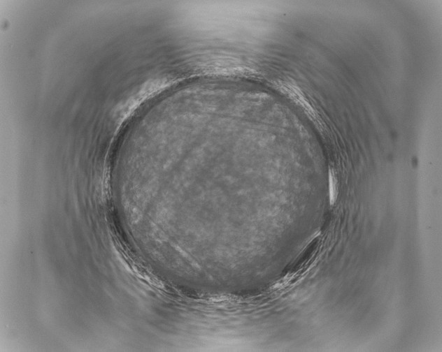 X0000087020579200705071512