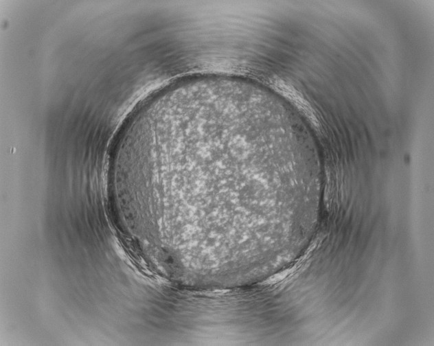 X0000087020580200705071512