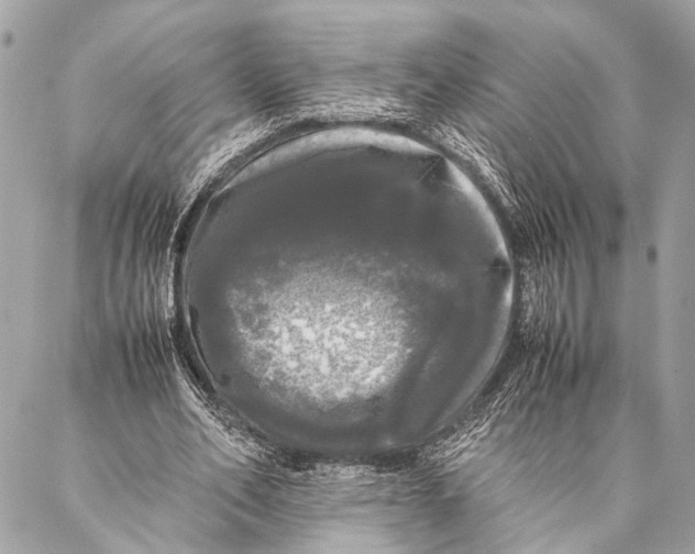 X0000087020582200705071512