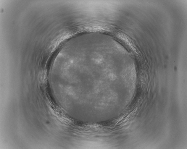 X0000087020583200705071512