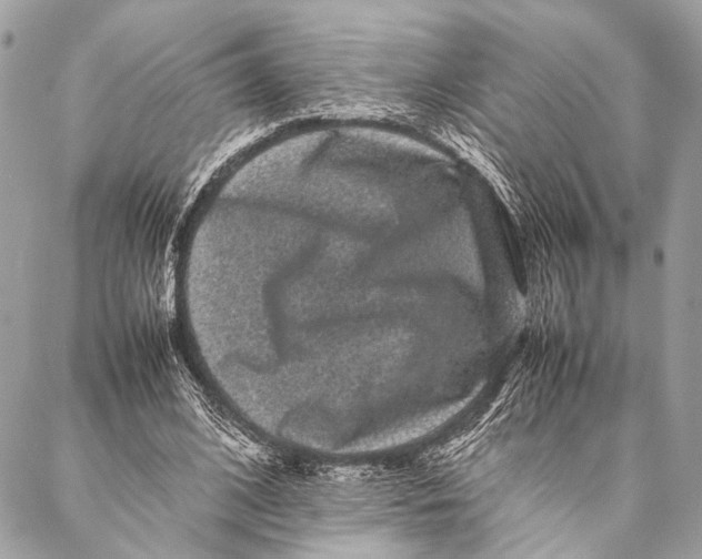 X0000087020584200705071512