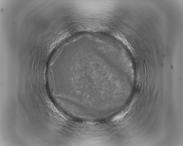 X0000087020585200705071512