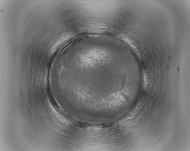 X0000087020586200705071512