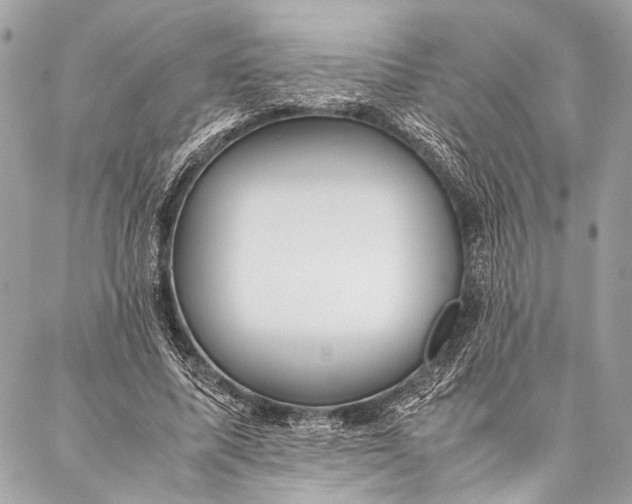 X0000087020587200705071512