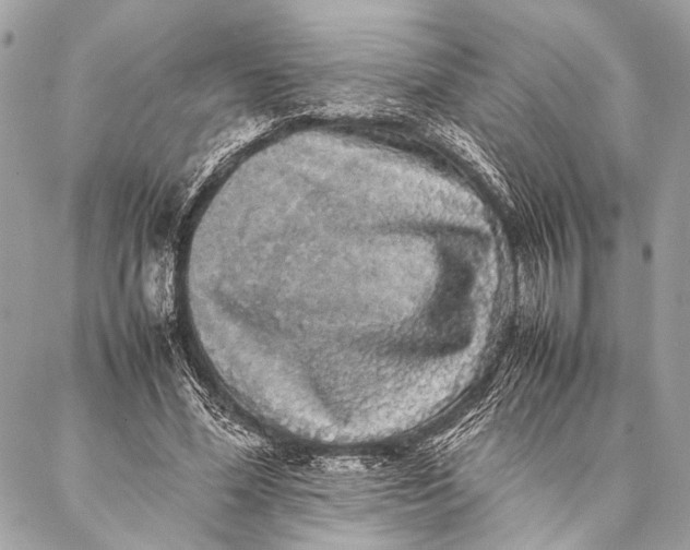 X0000087020588200705071512