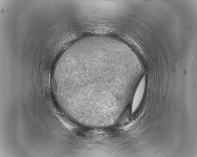 X0000087020589200705071512