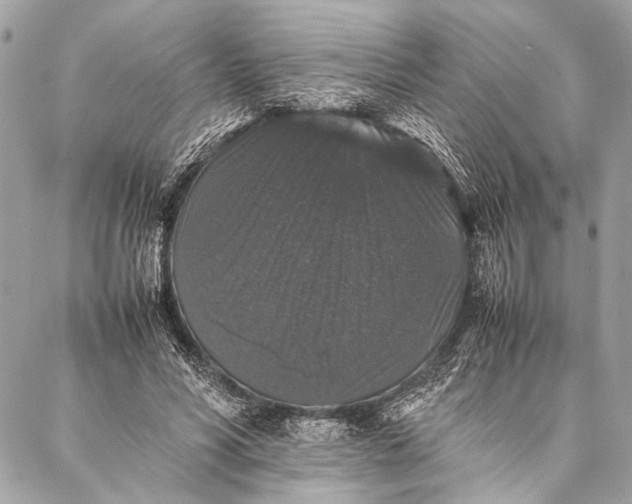 X0000087020590200705071512