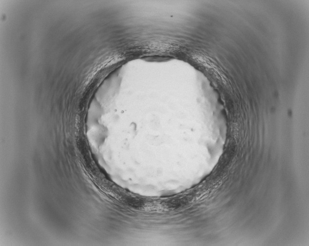 X0000087020591200705071512