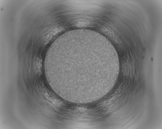 X0000087020592200705071511