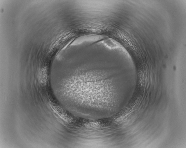 X0000087020594200705071511