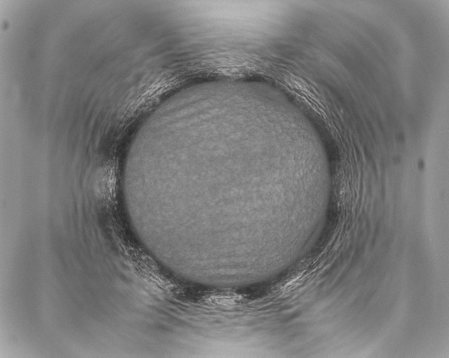 X0000087020595200705071511