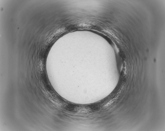 X0000087020597200705071511