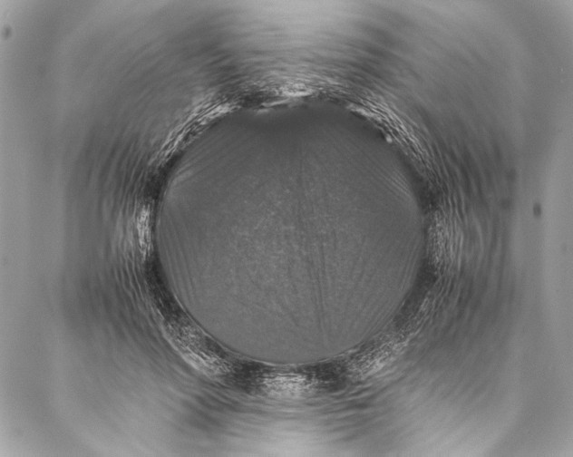 X0000087020598200705071511