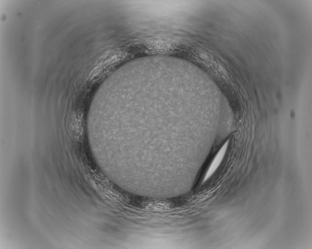 X0000087020599200705071511