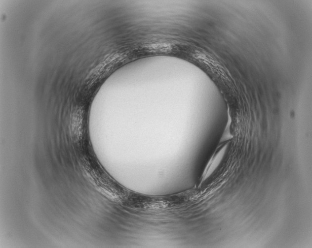 X0000087020600200705071511