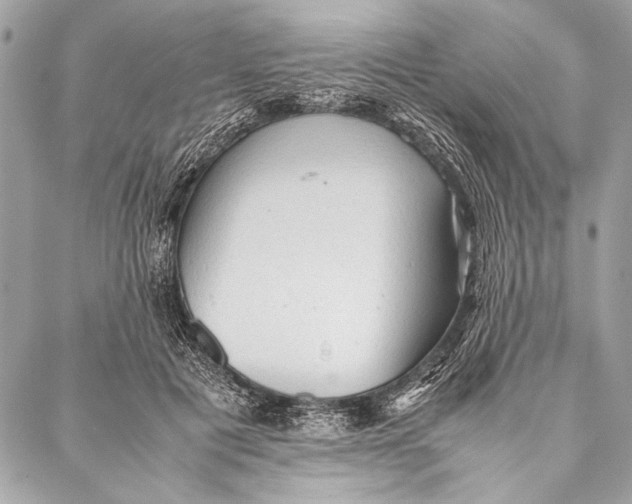 X0000087020601200705071511