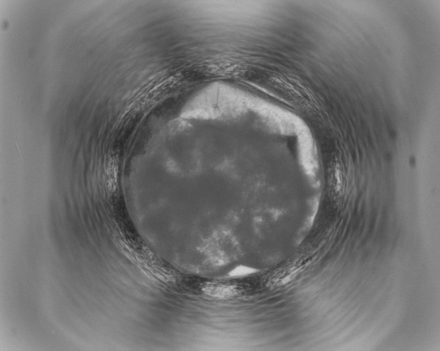 X0000087020602200705071511