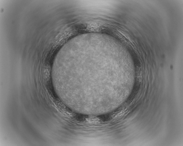 X0000087020603200705071511