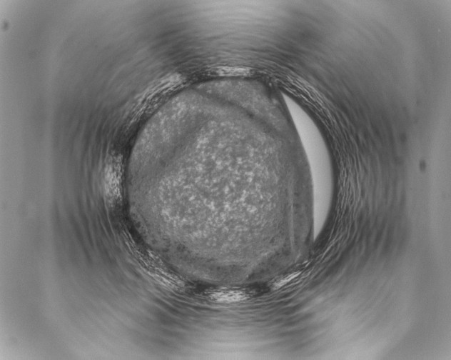 X0000087020604200705071511