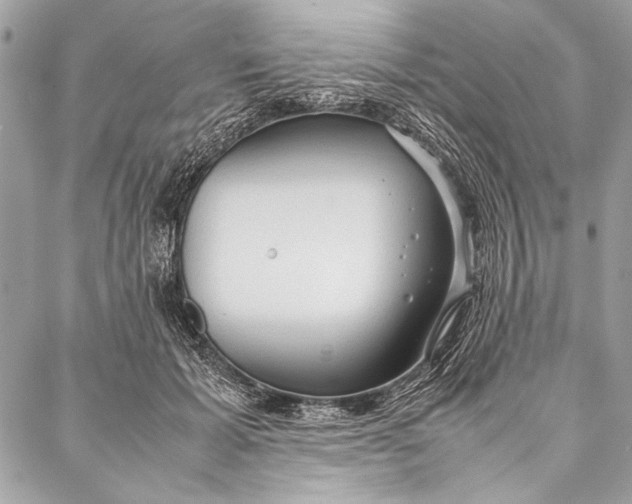 X0000087020605200705071511