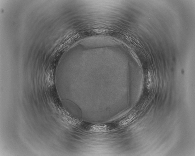 X0000087020606200705071511