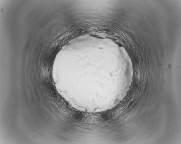 X0000087020607200705071511